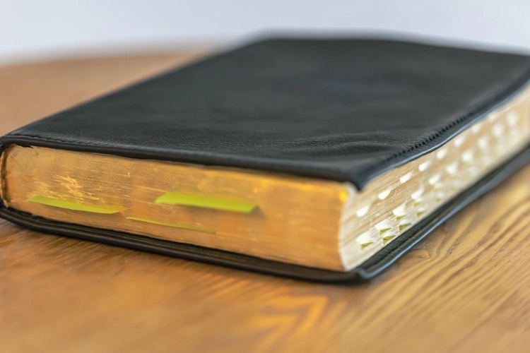 Labon Classic Hardcover PU Notebook